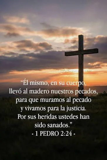 Jesús nos quiere devolver la libertad
