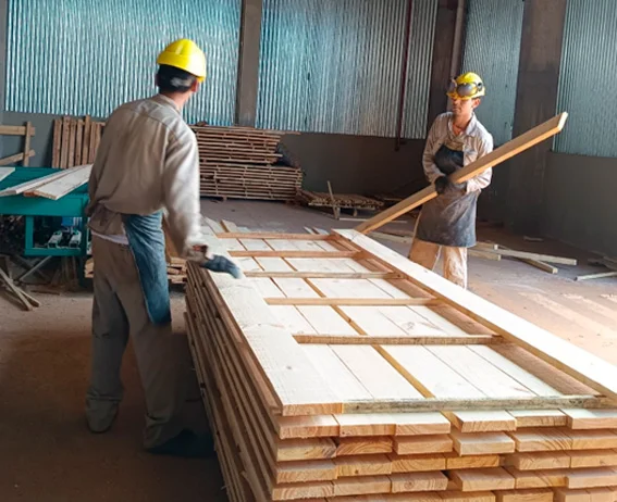 Capacitación. Trabajo. Madera 