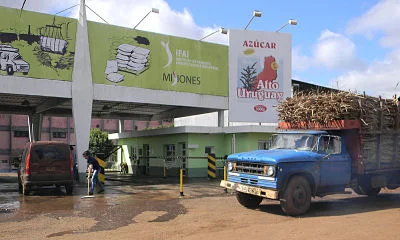 ingenio_opt-7379f714