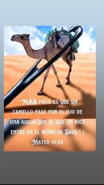 Mateo 19.24