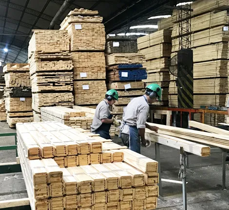 Forestal-Eldorado_industria_remanufactura_2