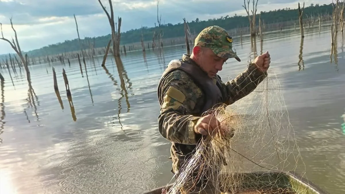 Pesca ilegal