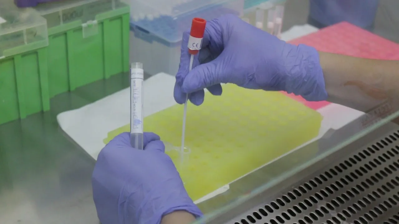 WhatsApp Image 2025-11-03 at 11_18_56 (2)