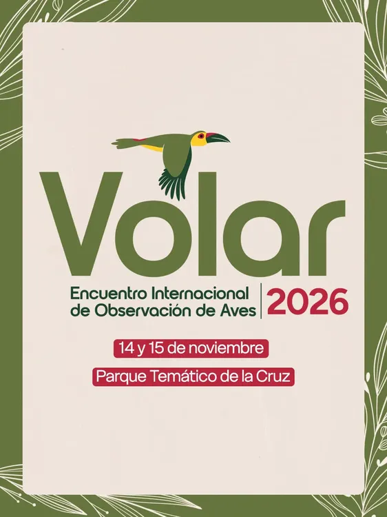 Volar