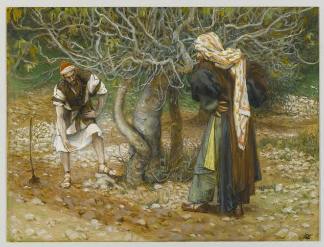 Parábola de la Higuera