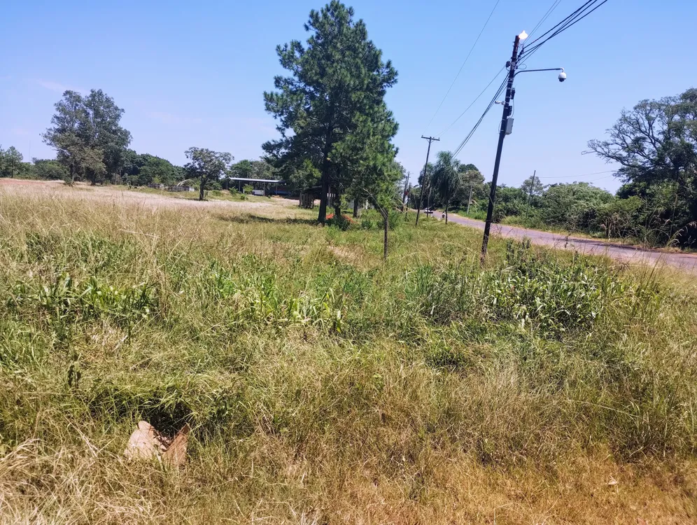 IMG_20240203_113156102