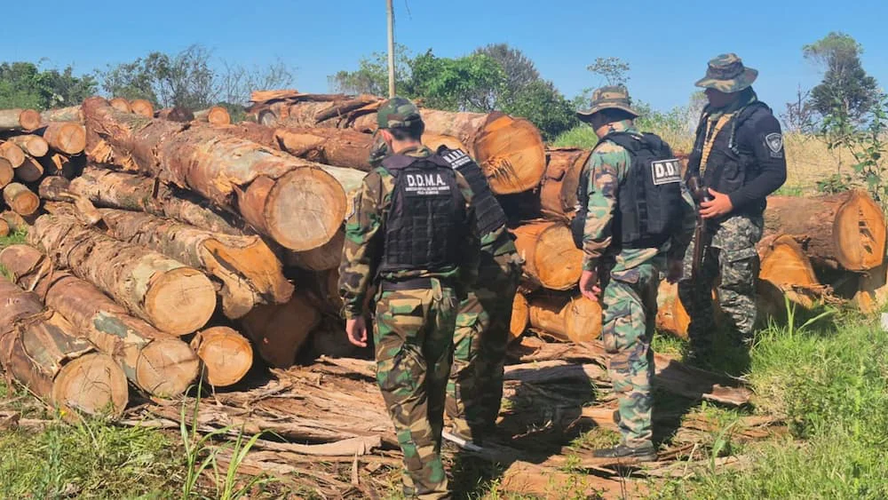 Madera Secuestrada (1)