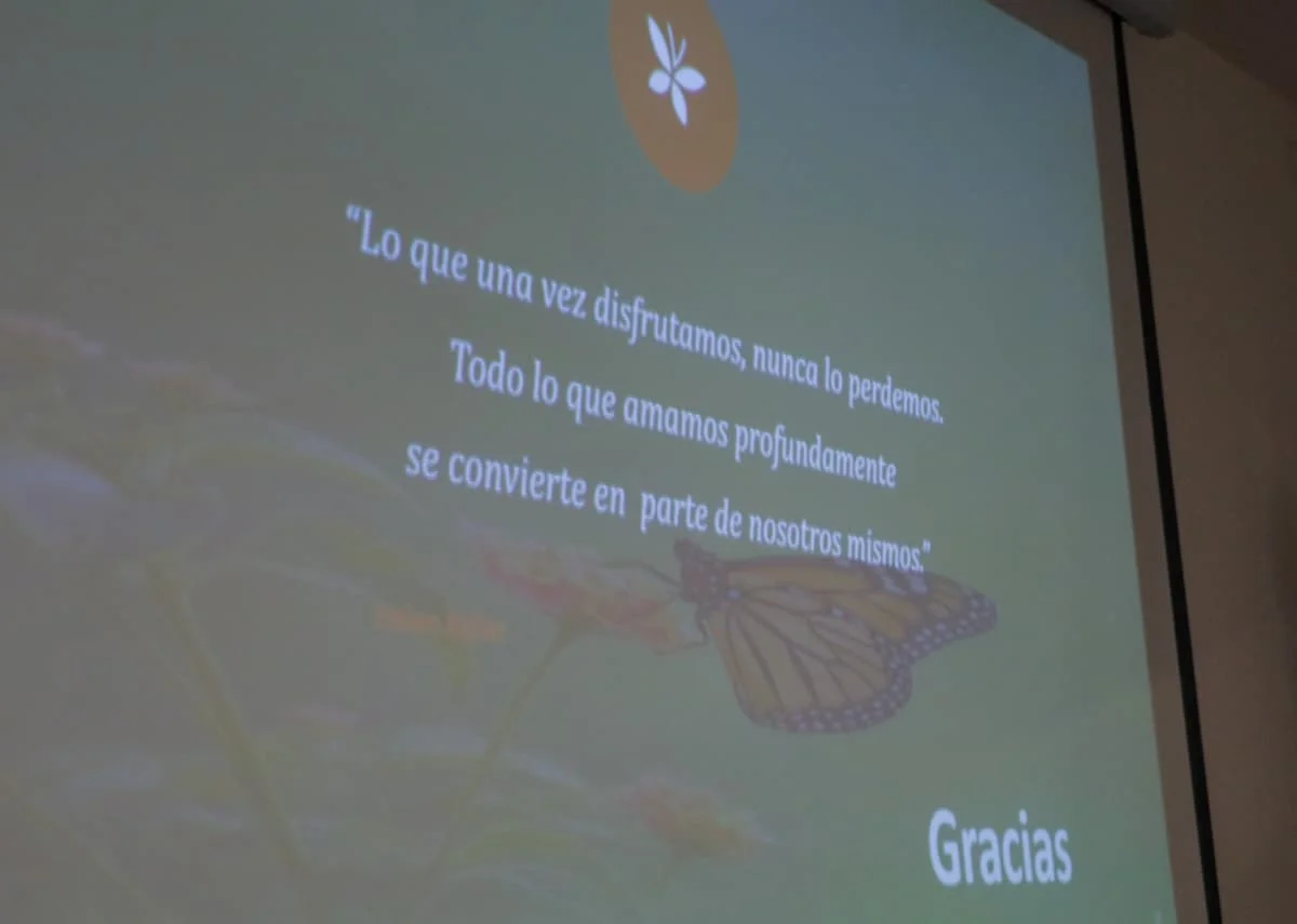 Frase de duelo