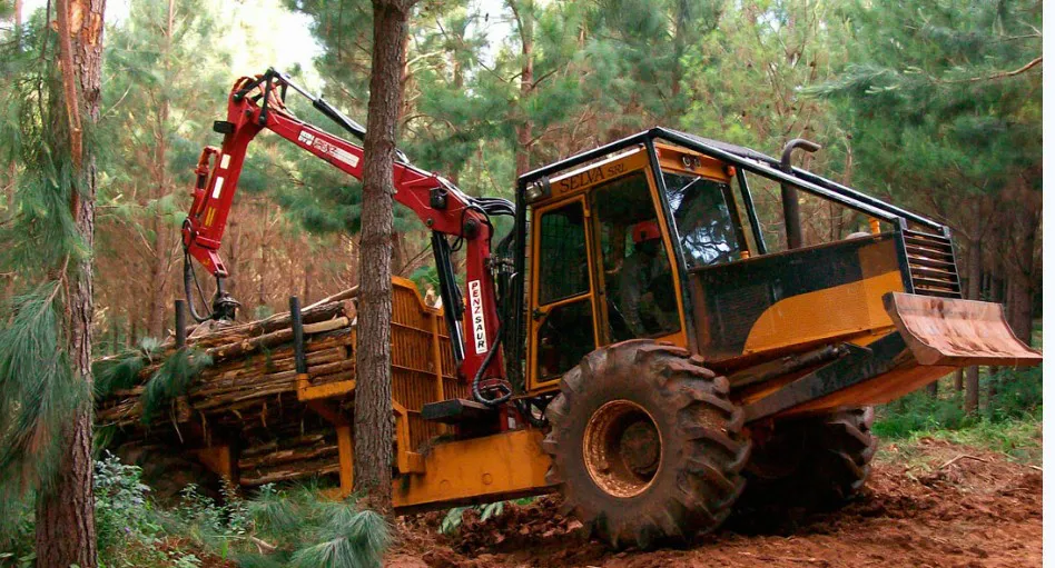 Screenshot_20251229-132803