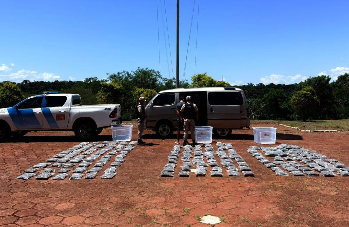 Secuestran-marihuana-valuada-en-396-millones-en-un-operativo-en-Iguazu-1