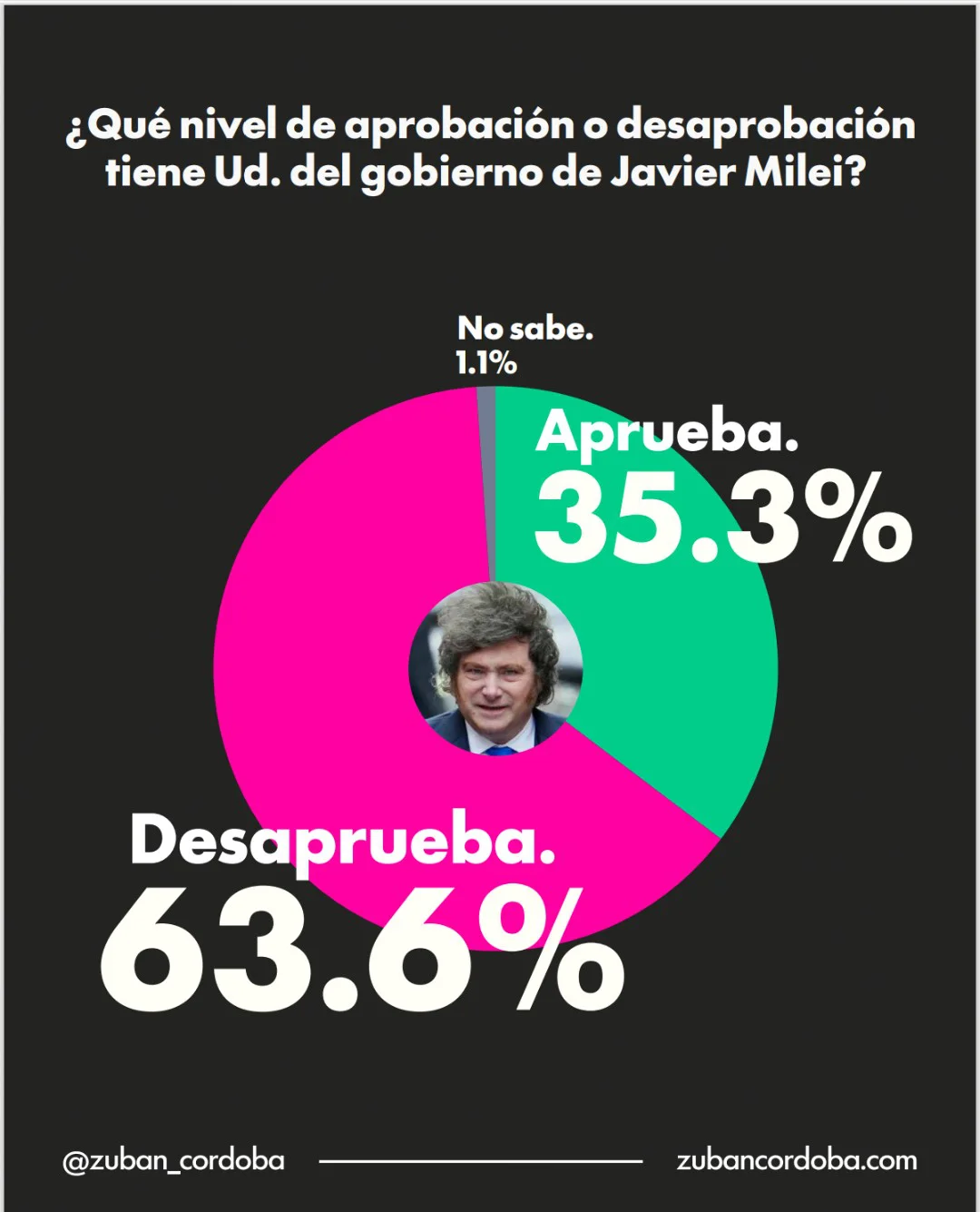 Encuesta Zuban Córdoba