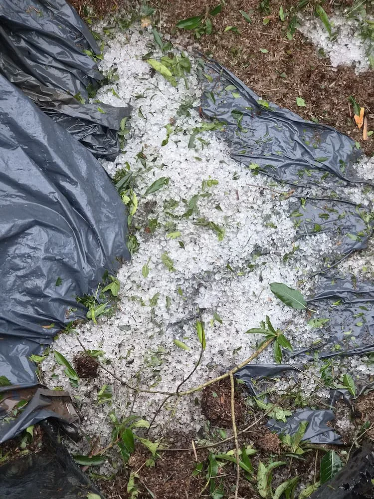 Granizo en Andresito
