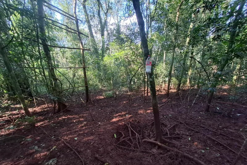 Ecología