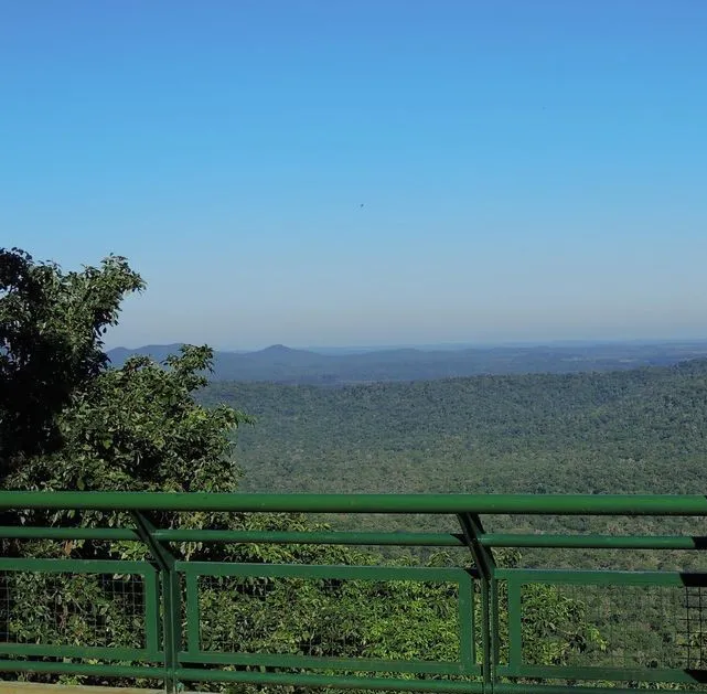 e0010_1595945595_8728