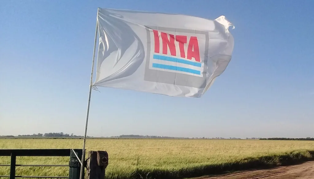 inta-1-1024x584
