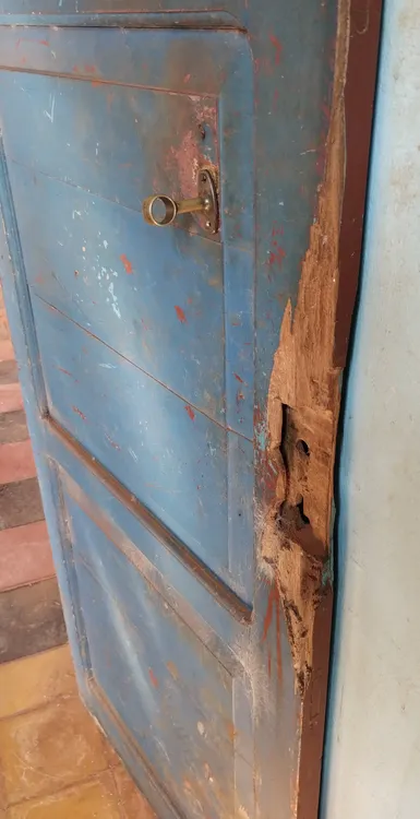 IMG_20260202_101813742