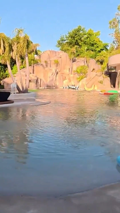 RGEB4SFPWNBVXFK4GUQ7AG4OVE