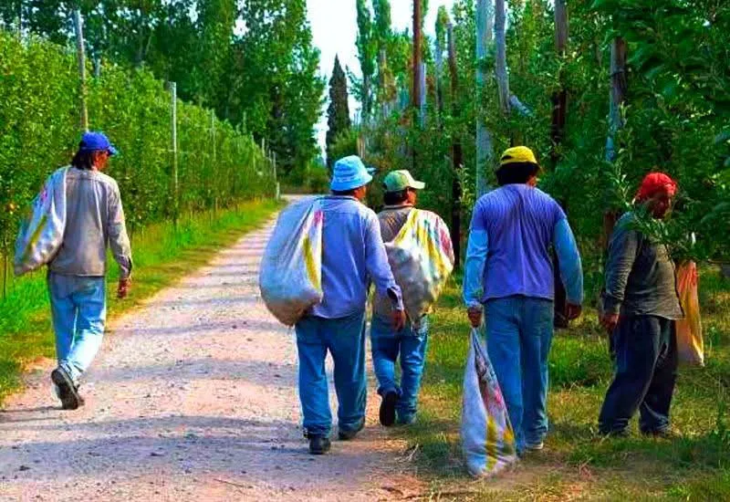 FB_IMG_1765933411130