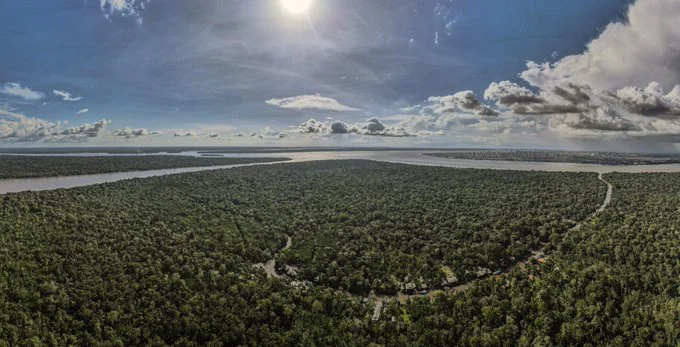 Amazonia-Brasil-1