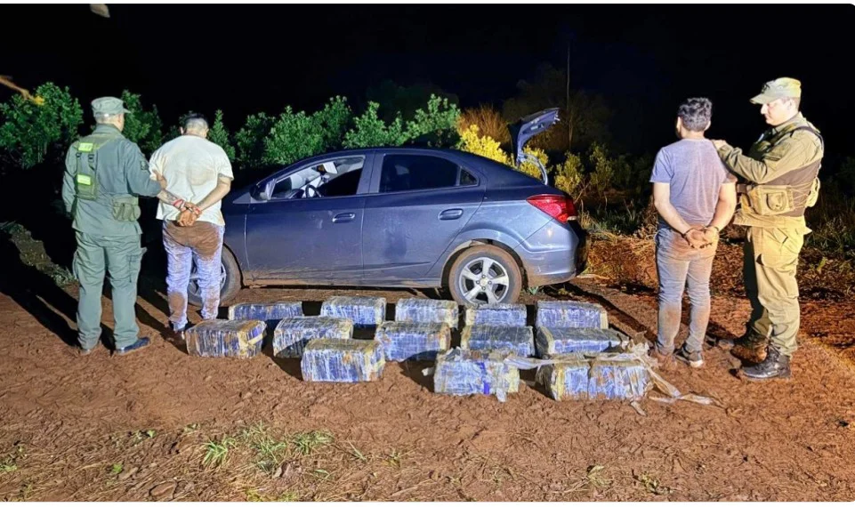 Drogas. Detenidos