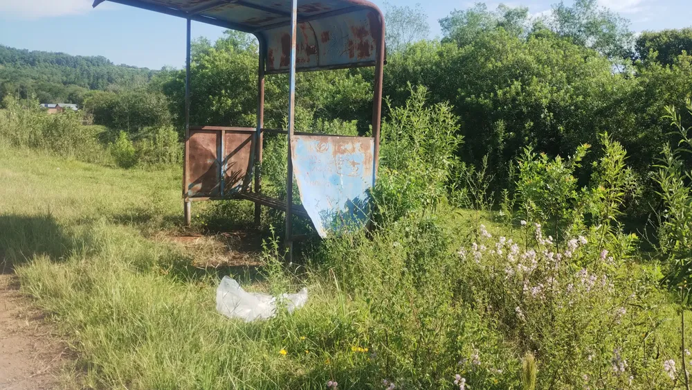 IMG_20260203_090234938