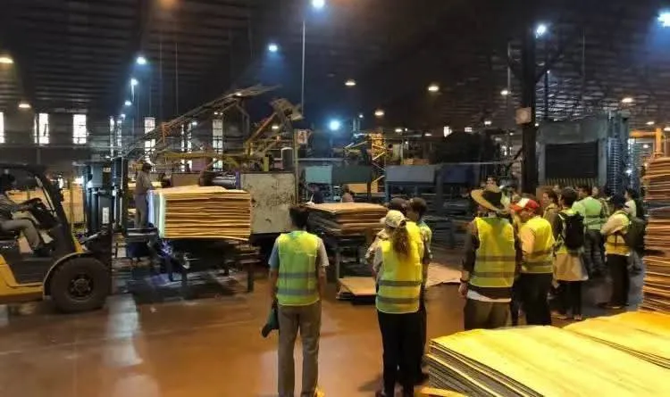 FB_IMG_1758376794030