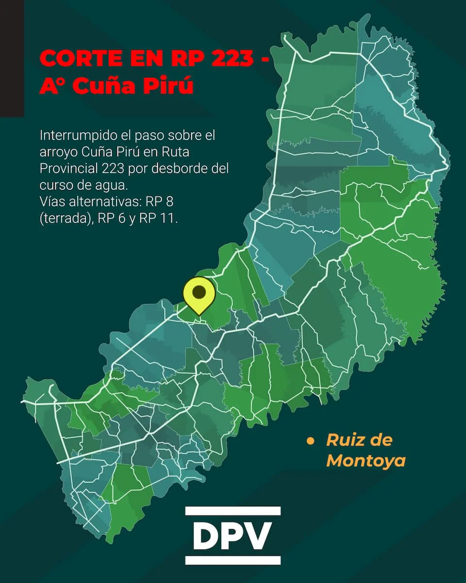 DPV - CORTE 223 Feed