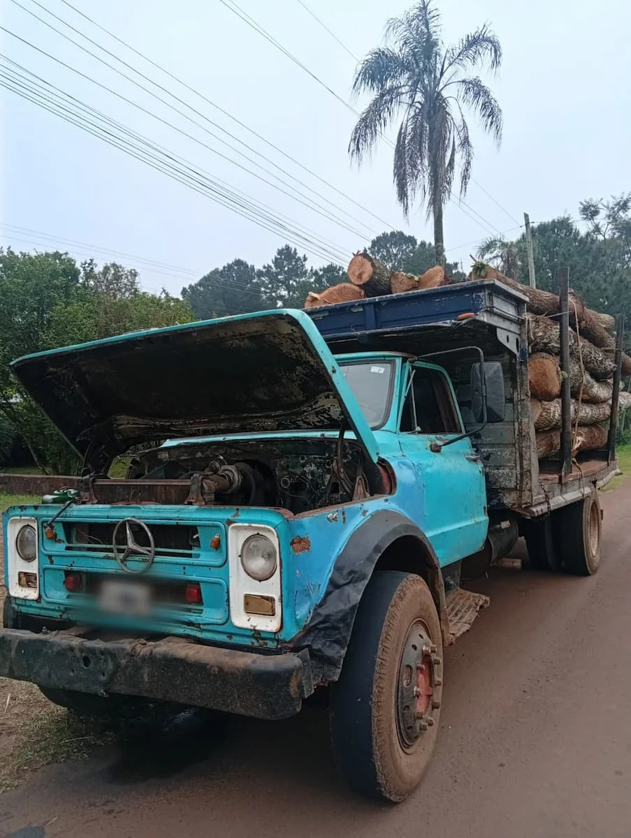 Camión En Ruta