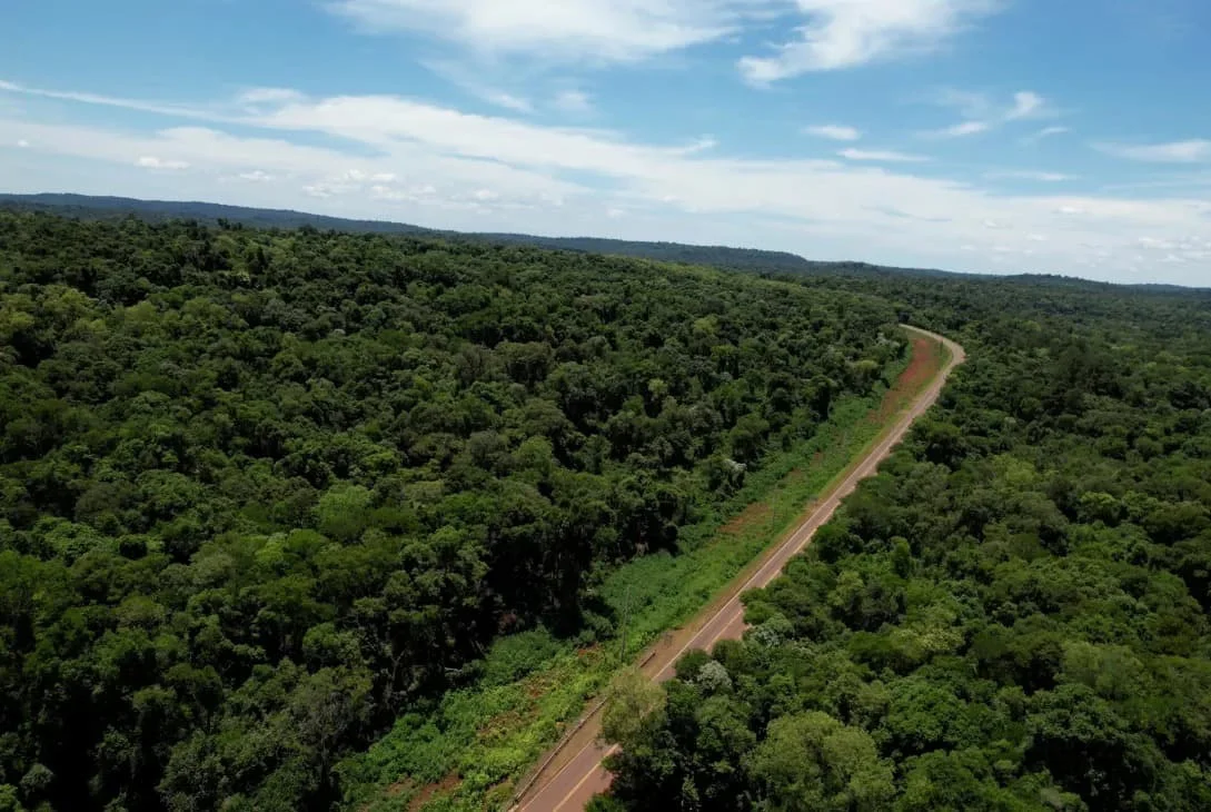 Ruta-y-Selva