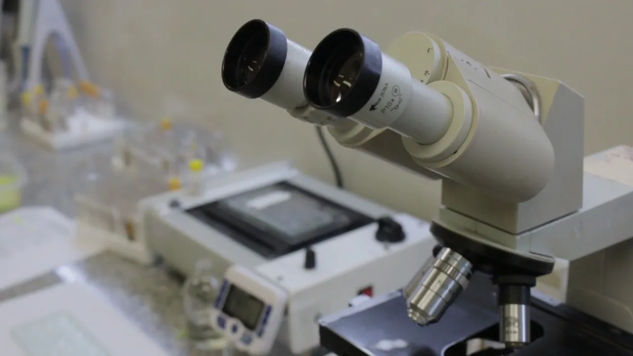 WhatsApp Image 2025-11-03 at 11_18_56 (3)