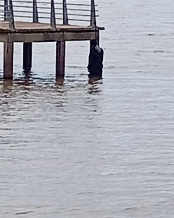 FB_IMG_1762903082825