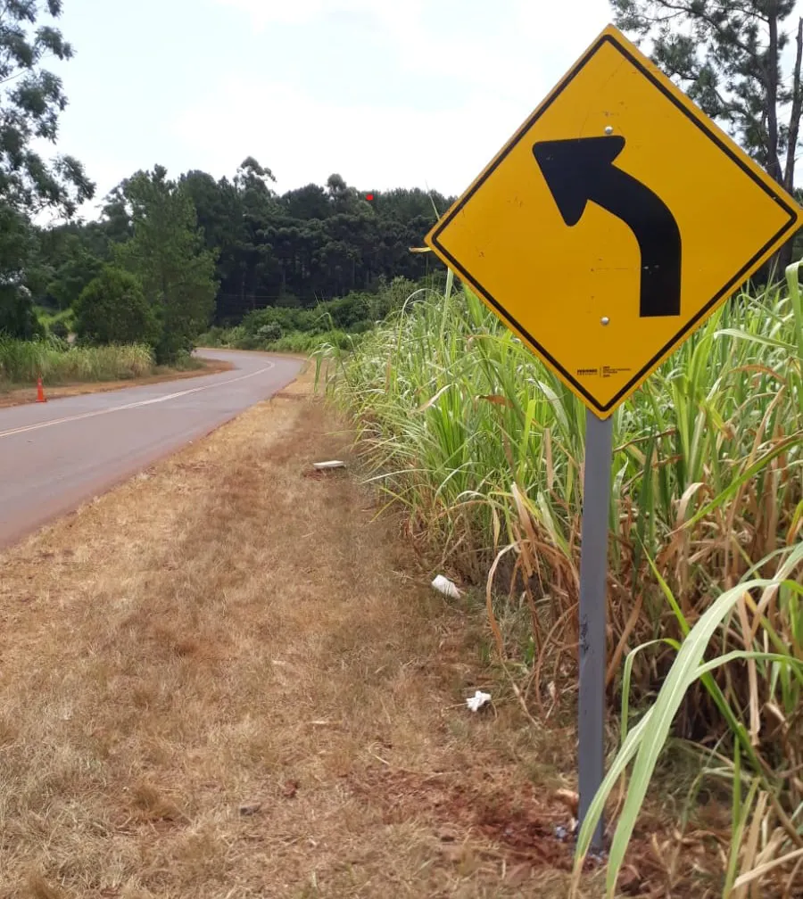 DPV - CARTELES RP 223 (2)