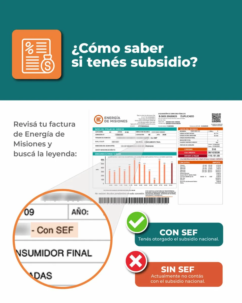 emsa (1)