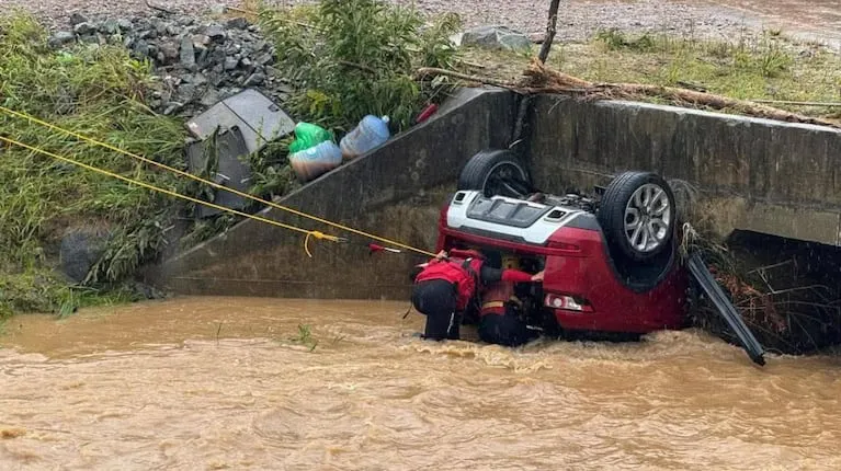 https___thumbs.vodgc.net_1-14-9xWGKD1765372840117-1765372910