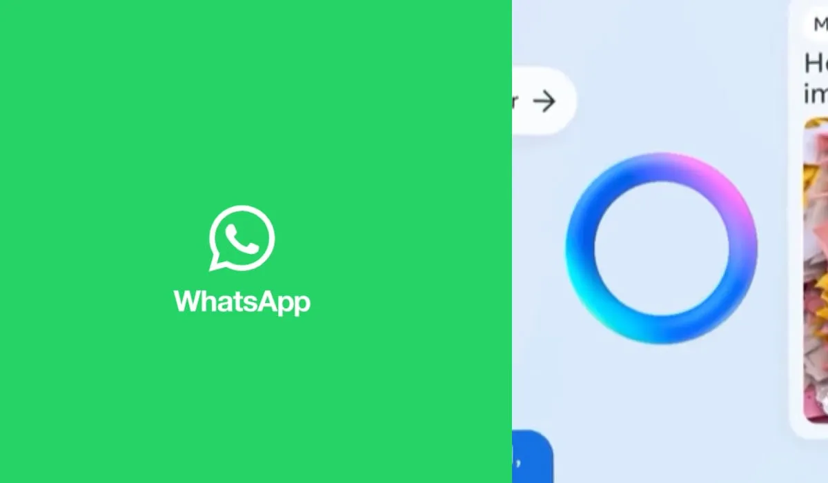 6BHWJZGCPBAQVPXZS6SQNVZCRM