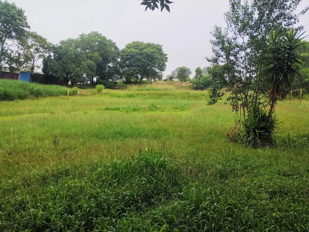 IMG_20240217_083036041