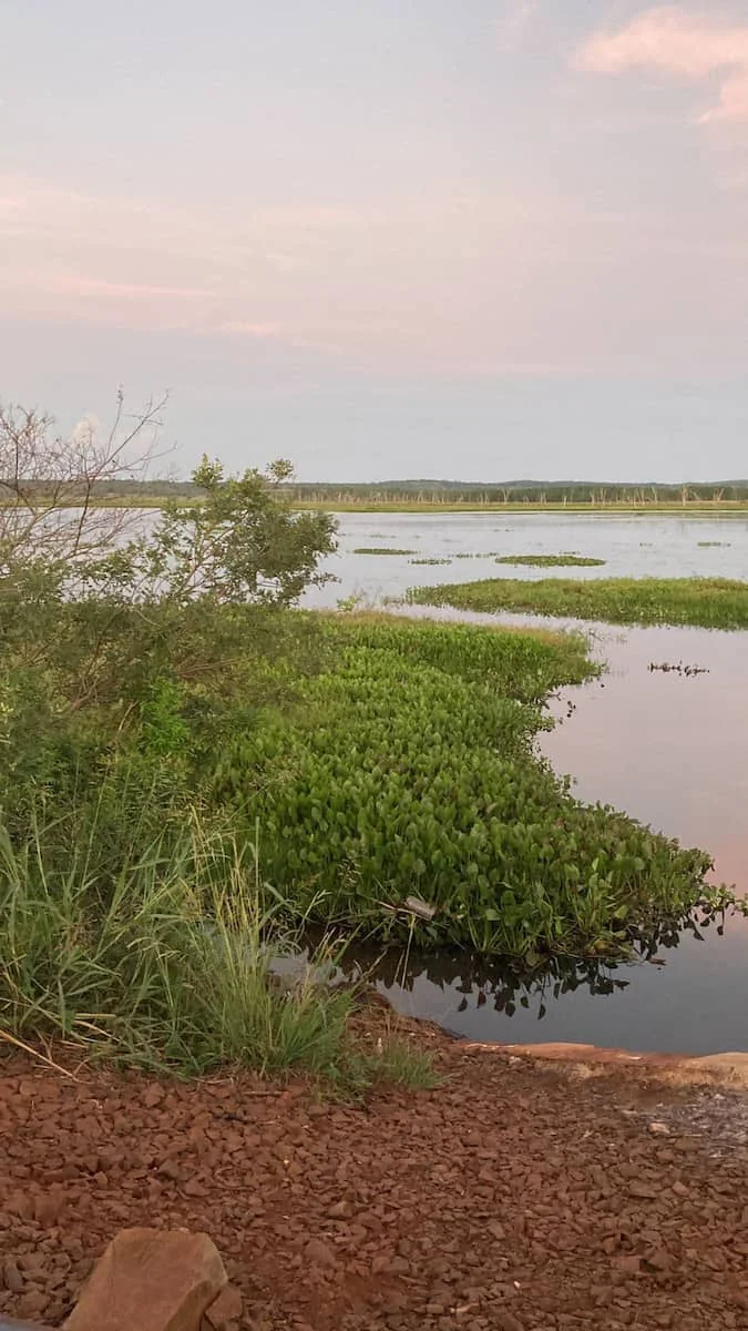 IMG-20260329-WA0131 (1)