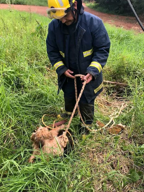 Bombero Voluntario de San Javier 
