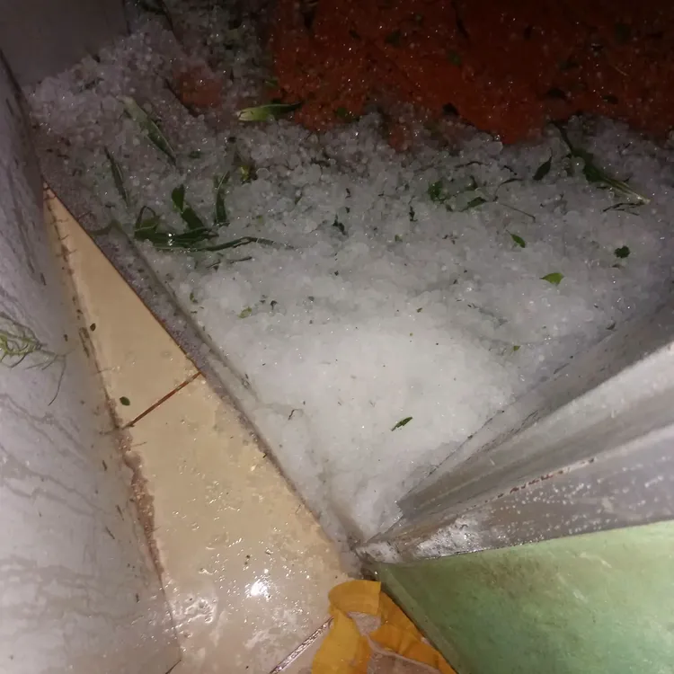 Granizo