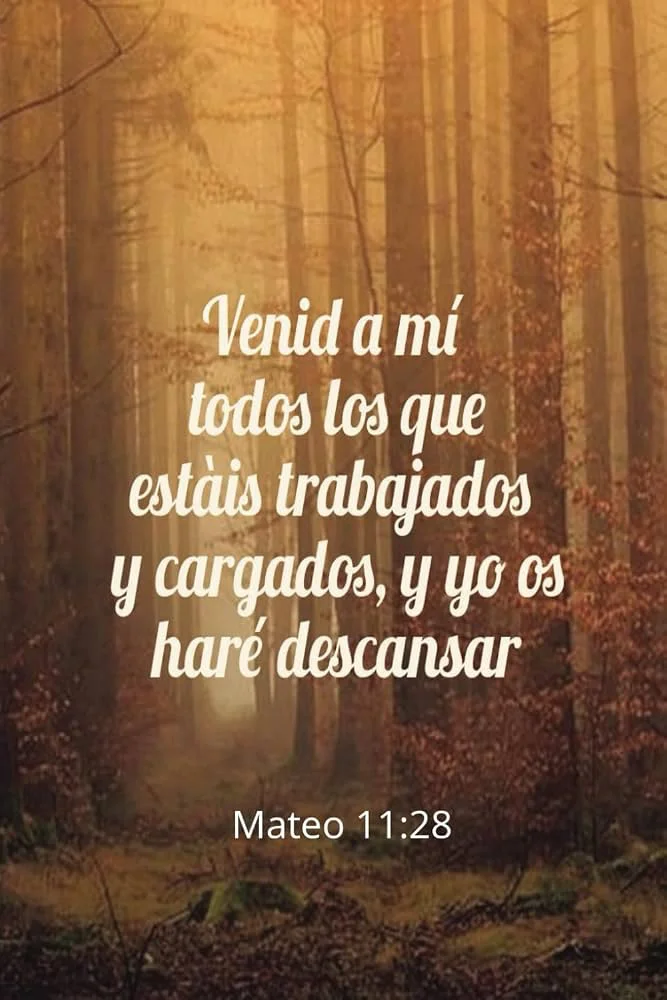Mateo 11:28