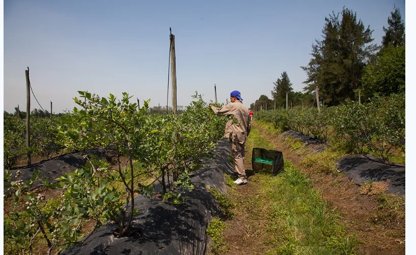 Screenshot_20260129-122345