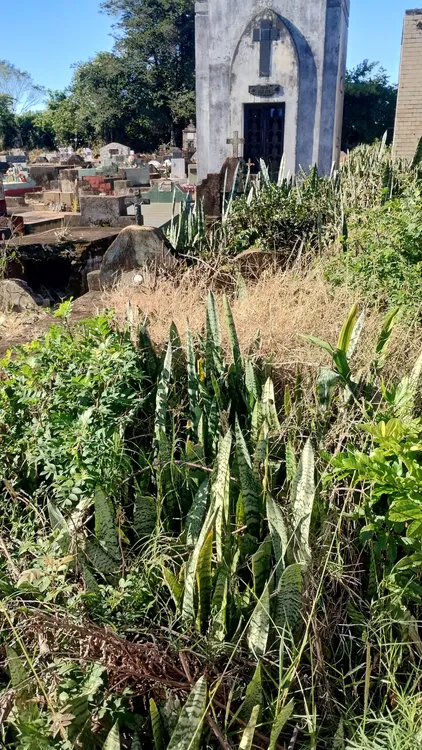 Cementerio 
