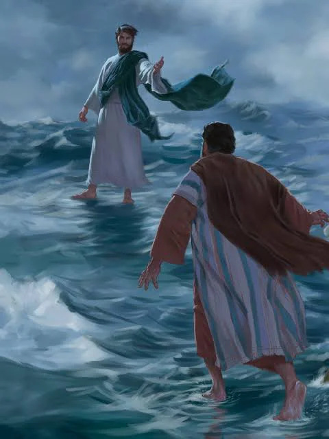 Pedro canina sobre el agua