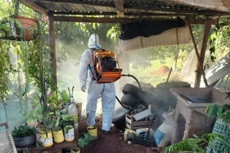 Dengue. Prevención 