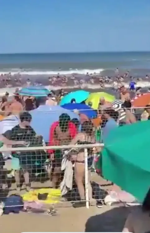 Screenshot_20260113-033651