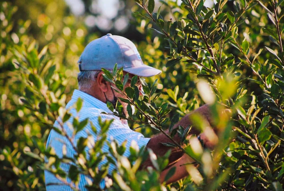 Trabajador Rural 