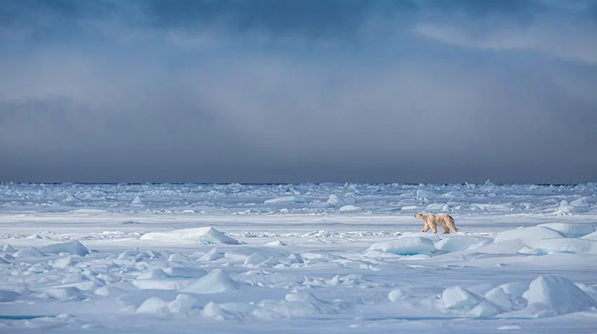 Cambio Climático