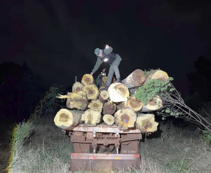Madera Incautada