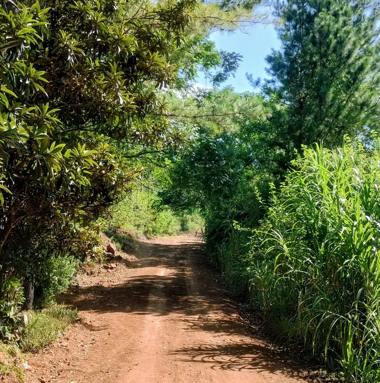 IMG_20250207_102035207_HDR
