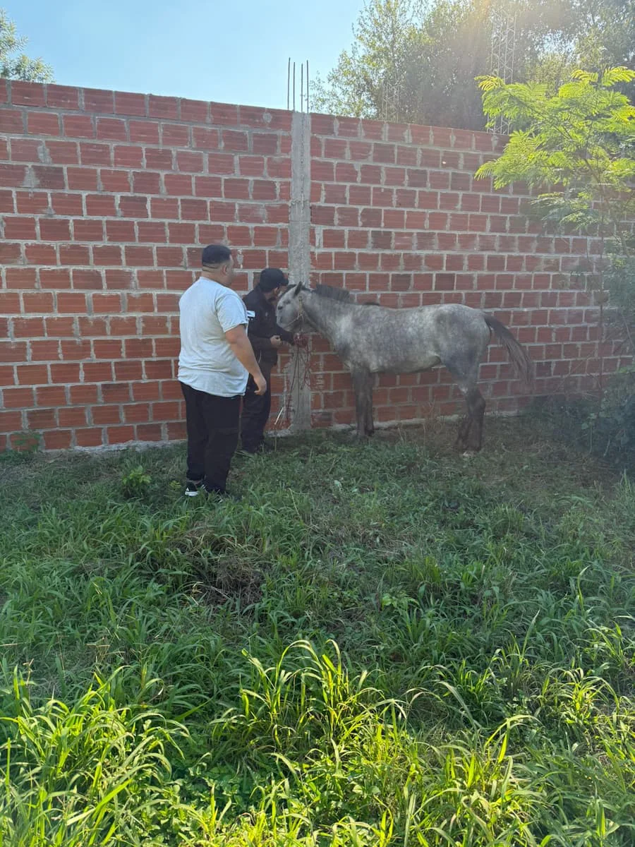 IMG-20260515-WA0306